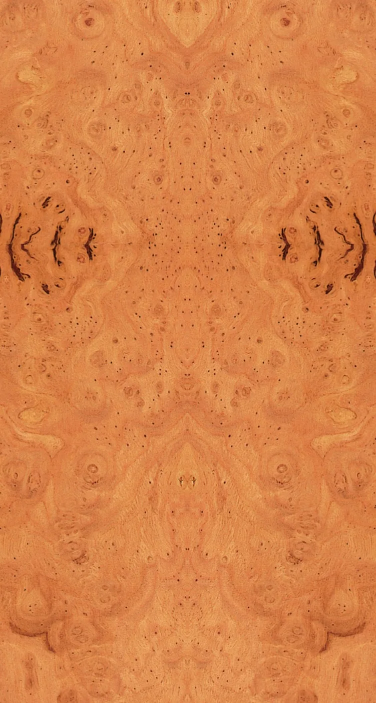 Chestnut Burls