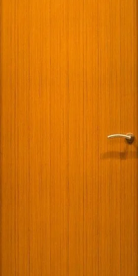 Lami-5 JAC Door