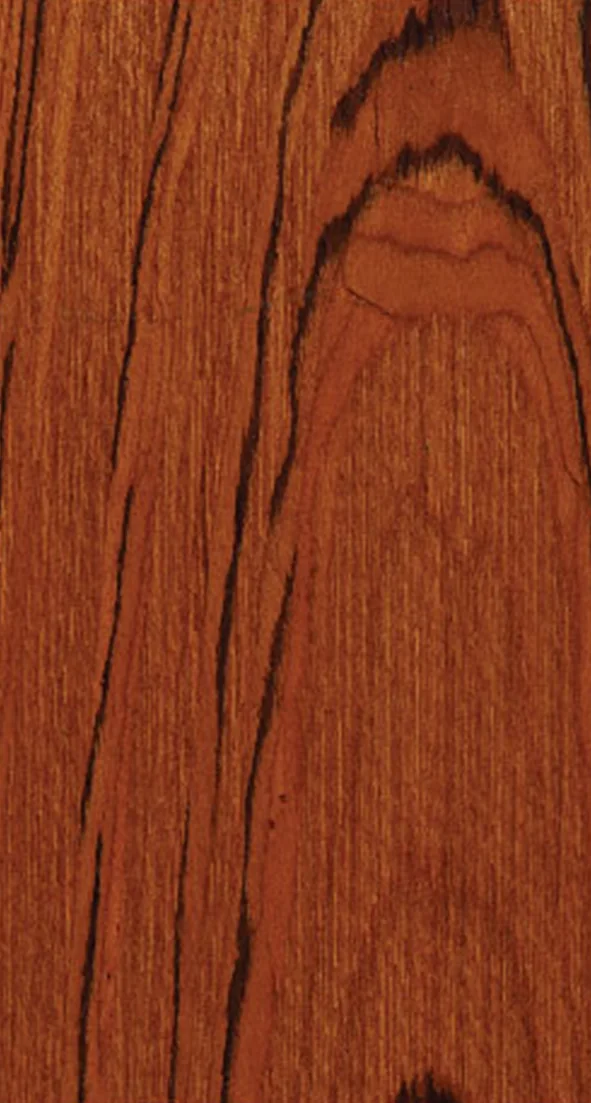 EV-TEAK (3)