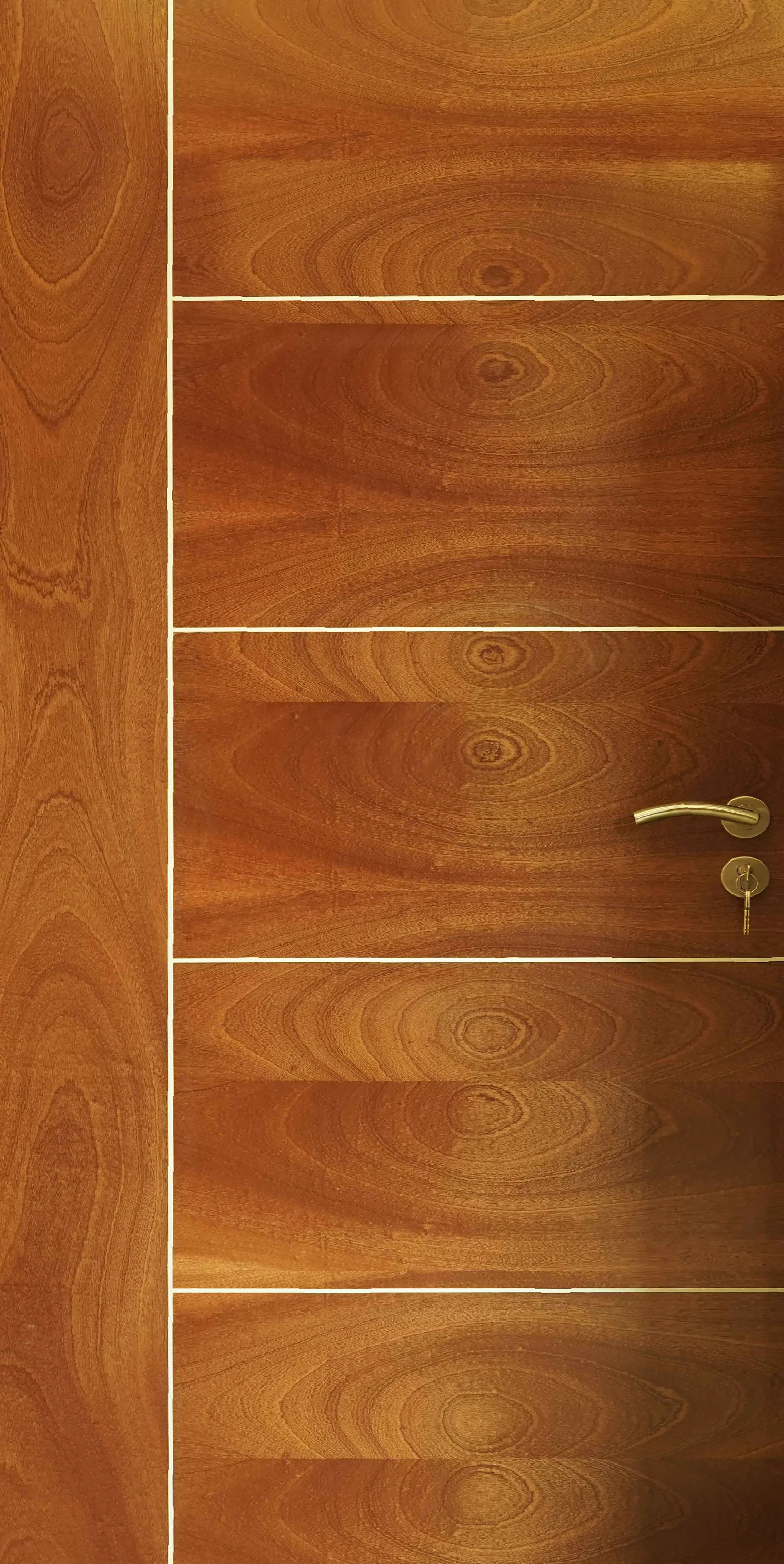 Metal Inlay 02 JAC Door