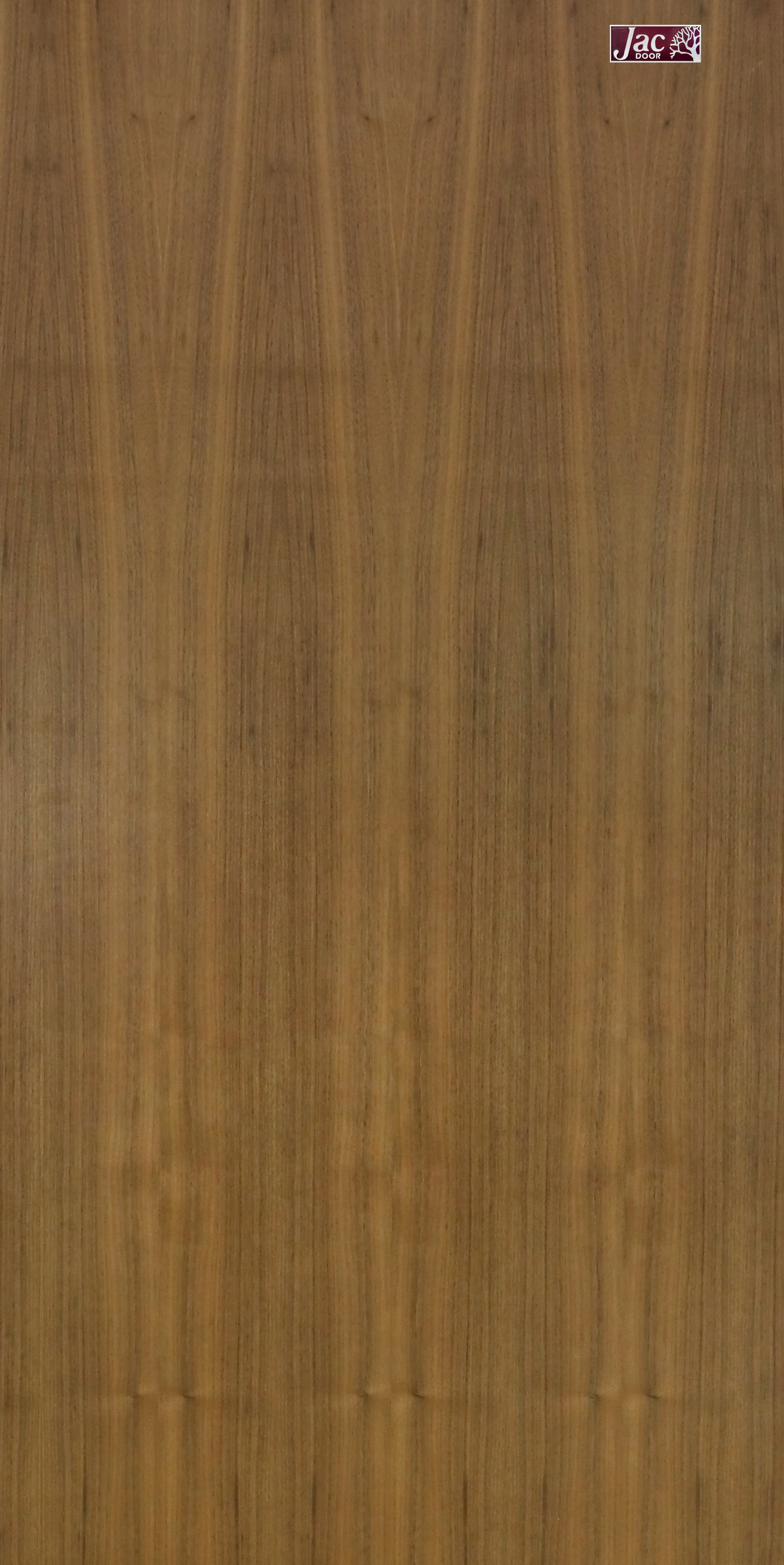VV-01 JAC Door