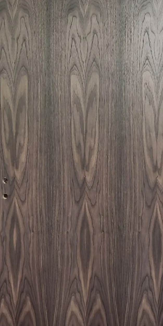 Designer Veneer 2 JAC Door
