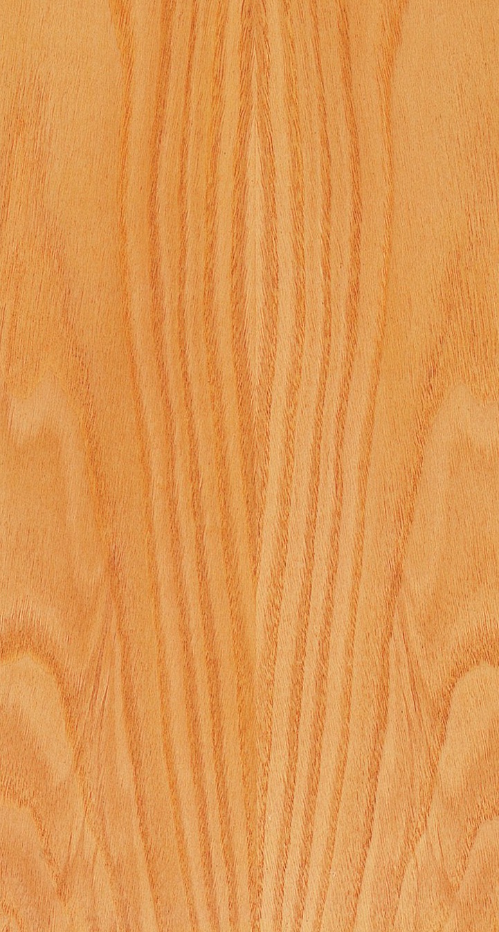 Chestnut
