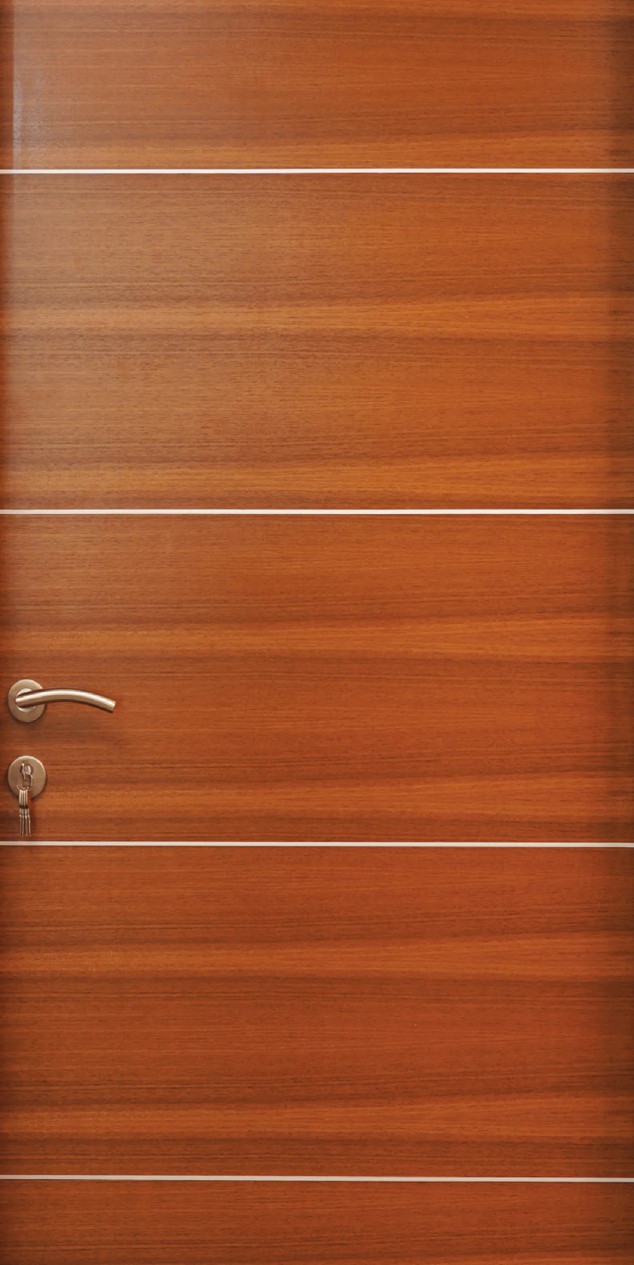 Metal Inlay 04 JAC Door