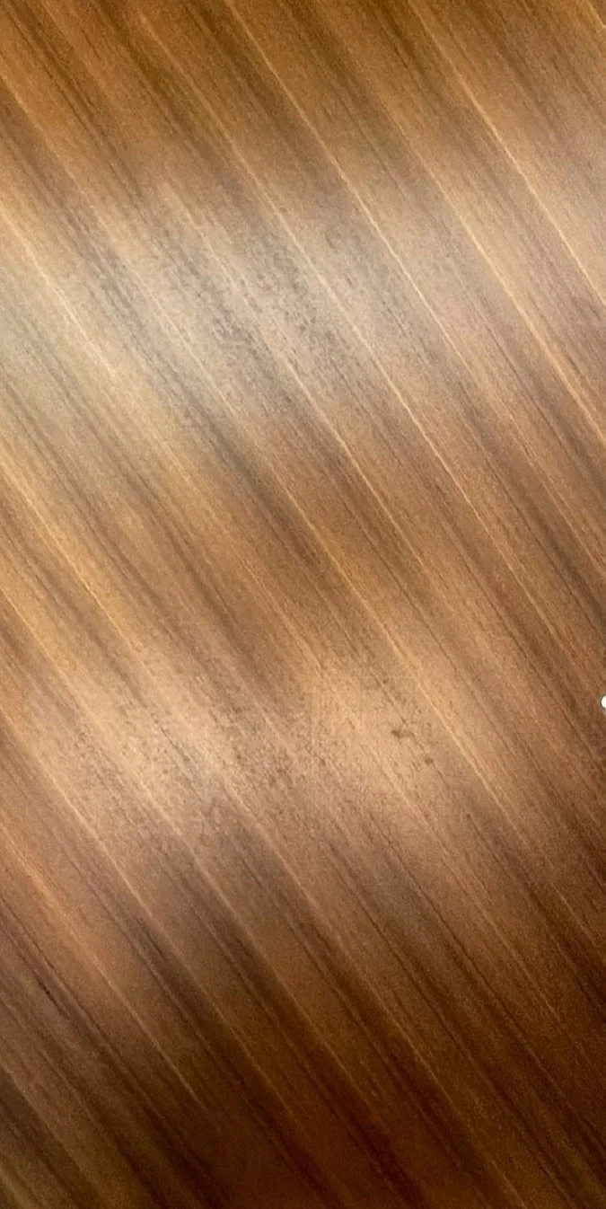 Designer Veneer Series by JAC Door