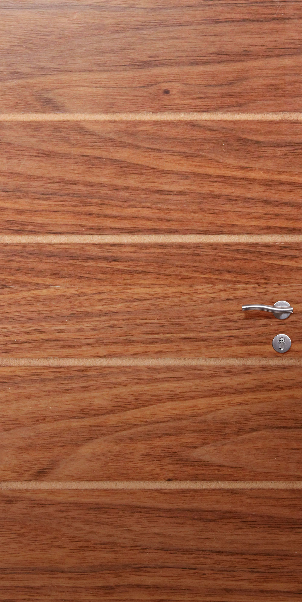 Veneer Inlay 10 JAC Door