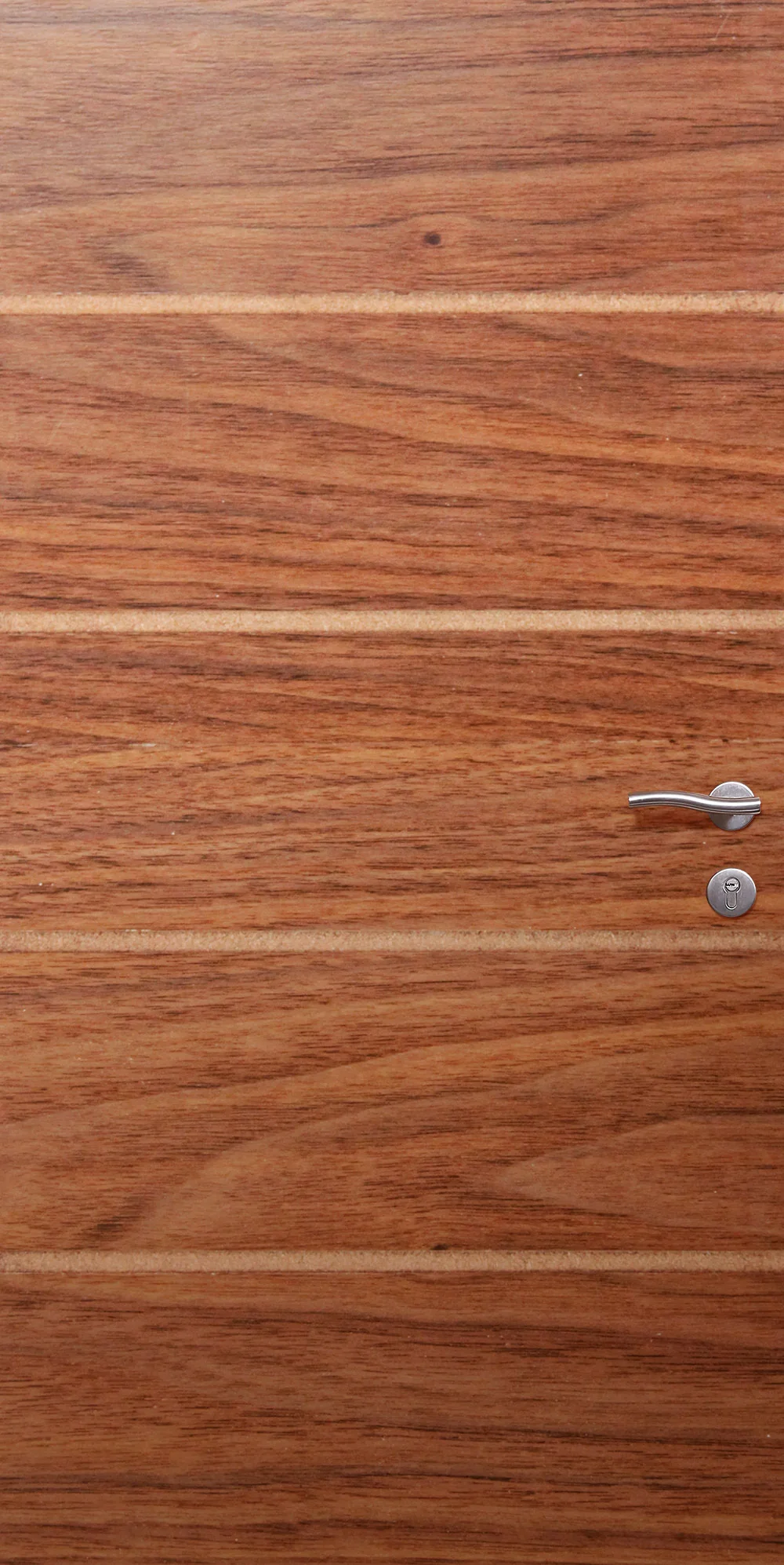 Veneer Inlay 10 JAC Door