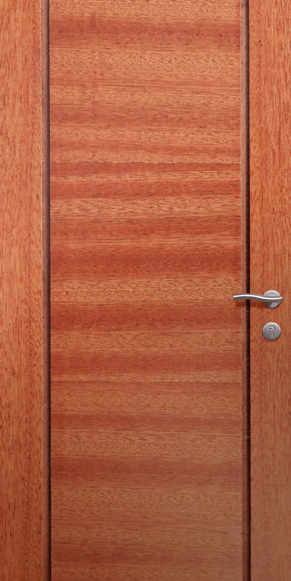 Veneer Inlay 13 JAC Door