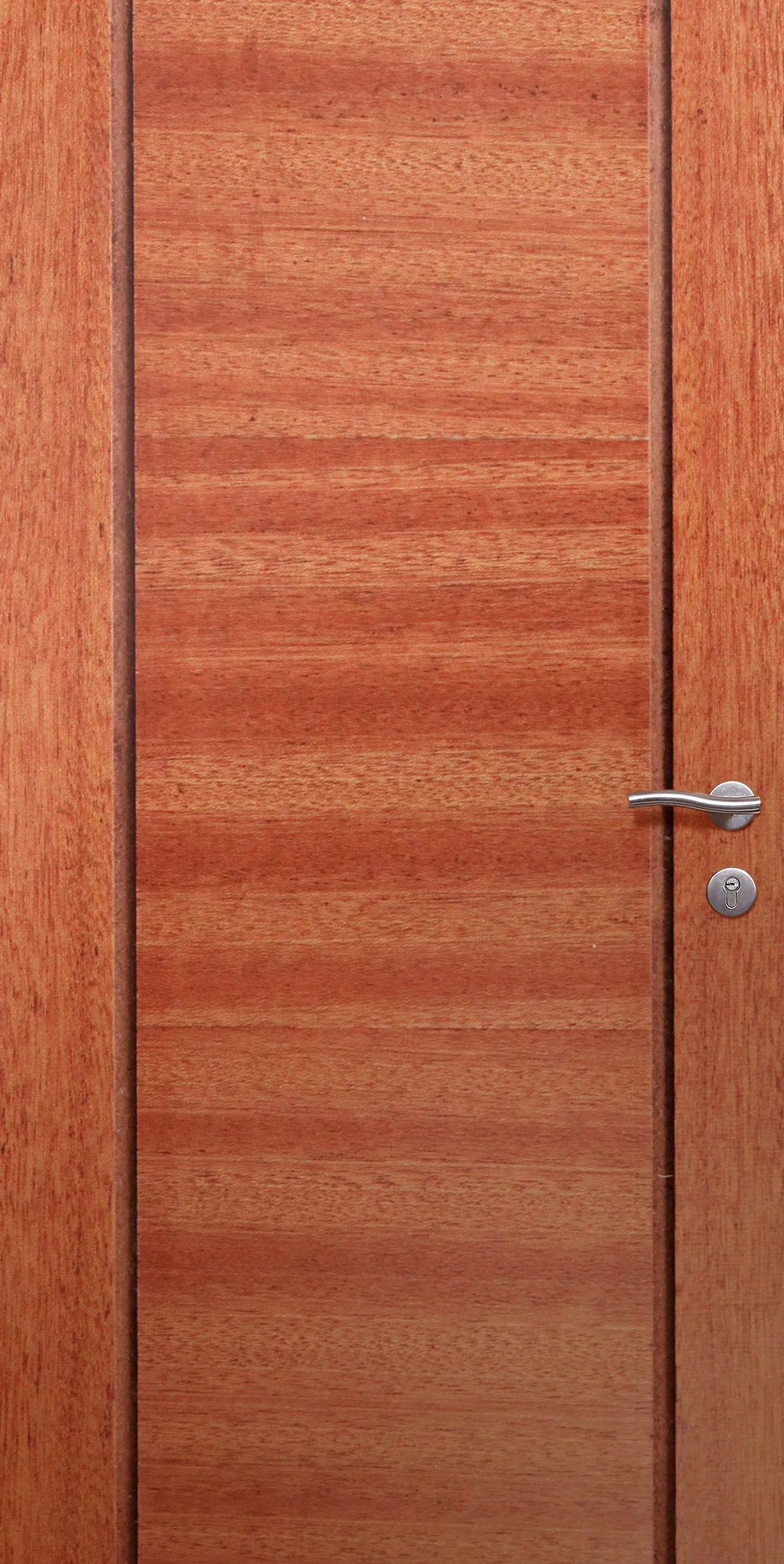 Veneer Inlay 13 JAC Door