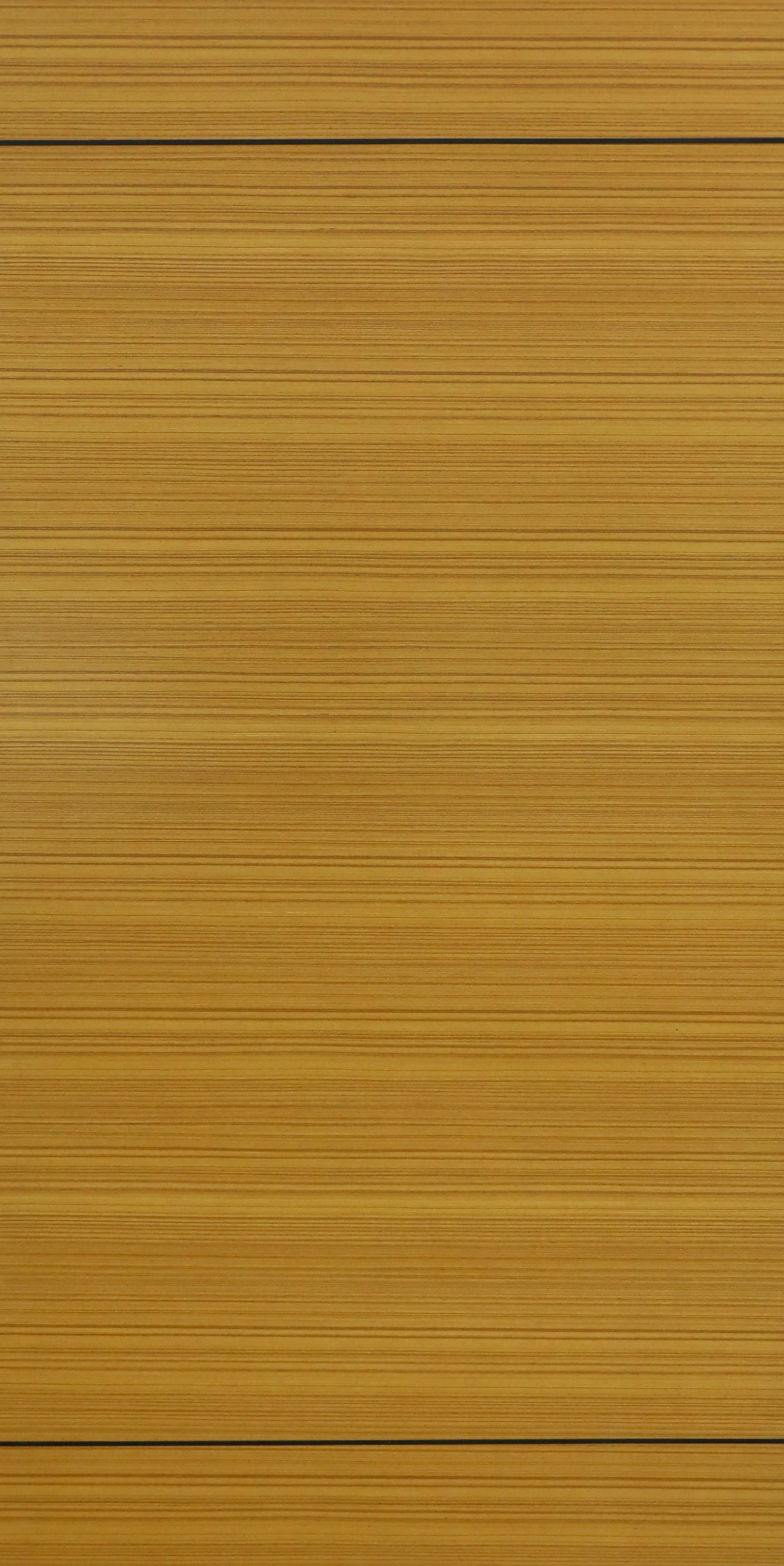 Lami-6 JAC Door