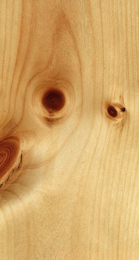 Knotty Pine