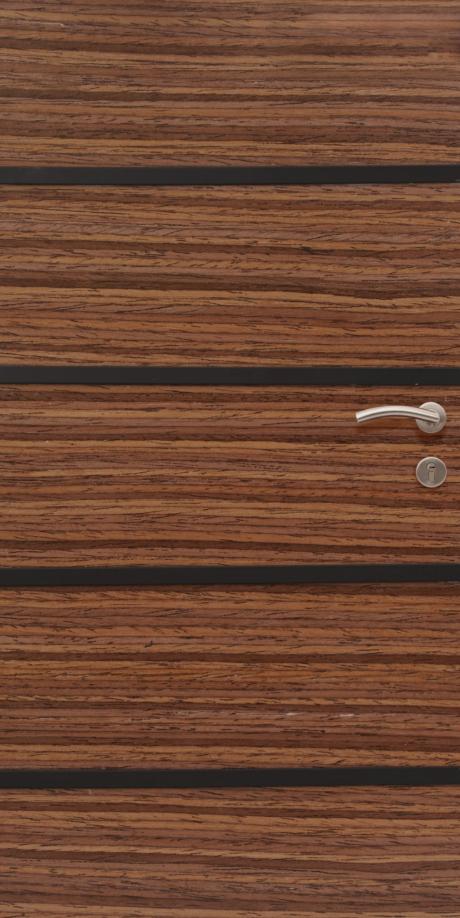 Metal Inlay 06 JAC Door