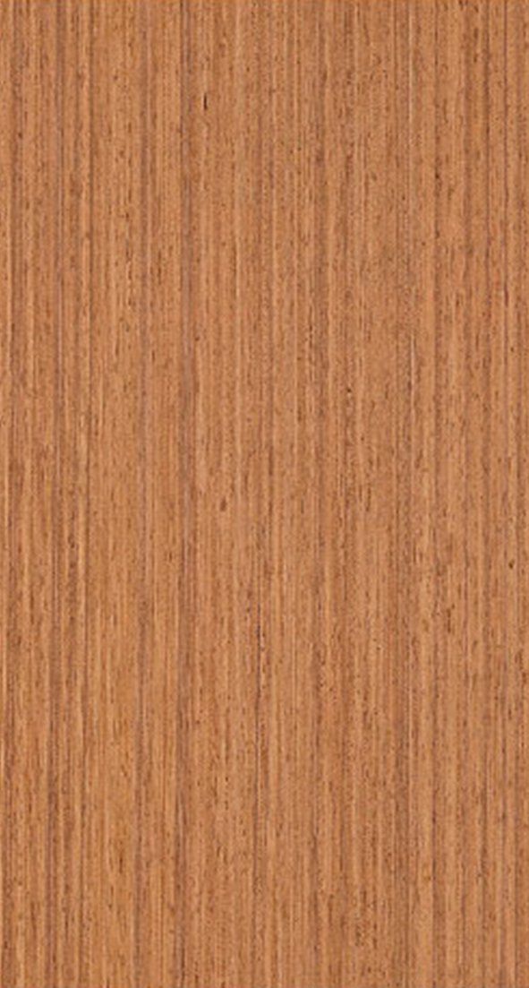 EV-TEAK (2)