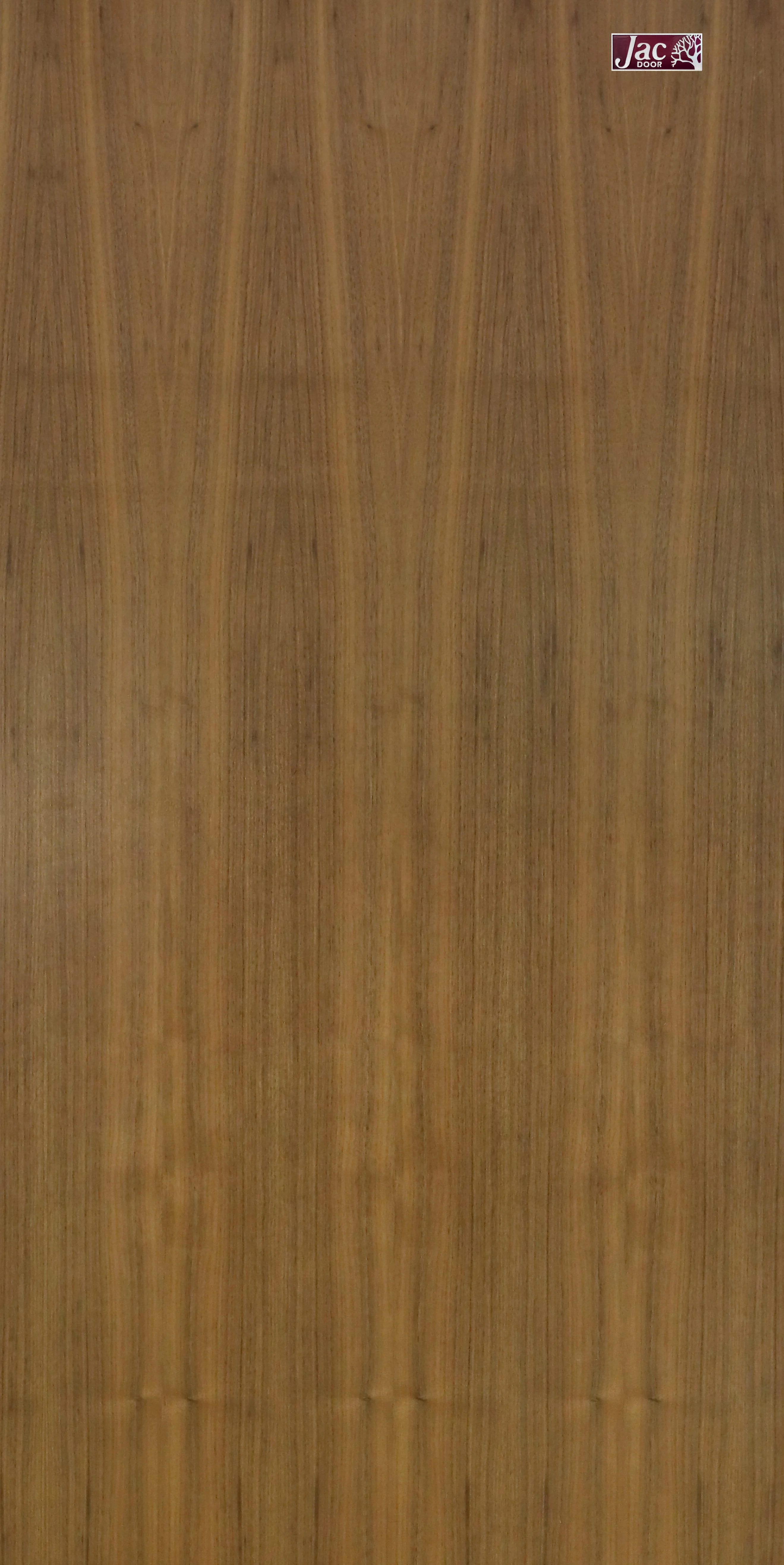Veneer Vertical Series by JAC Door