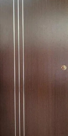 Metal Inlay 05 JAC Door