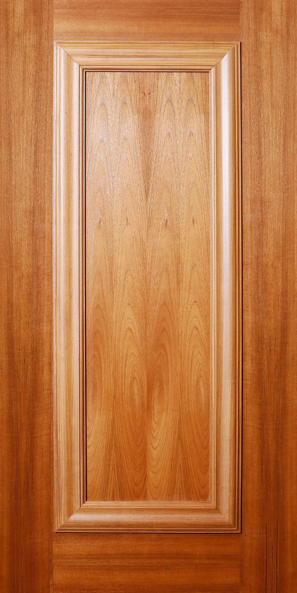 RA-06 JAC Door
