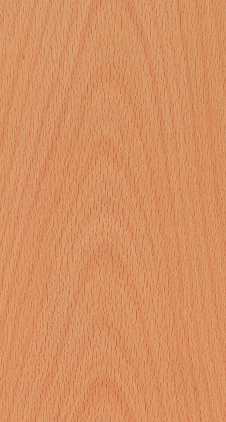 Beech