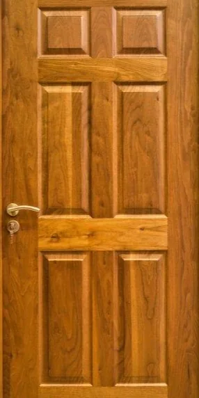 VMP-04 JAC Door