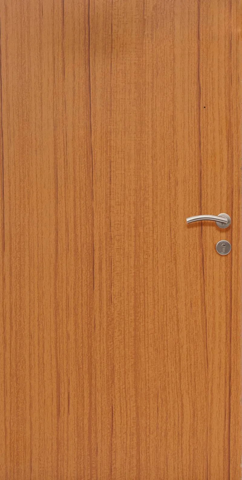 lami2 JAC Door