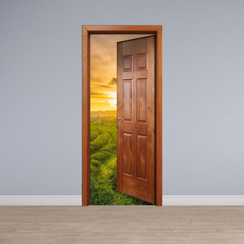 Door2