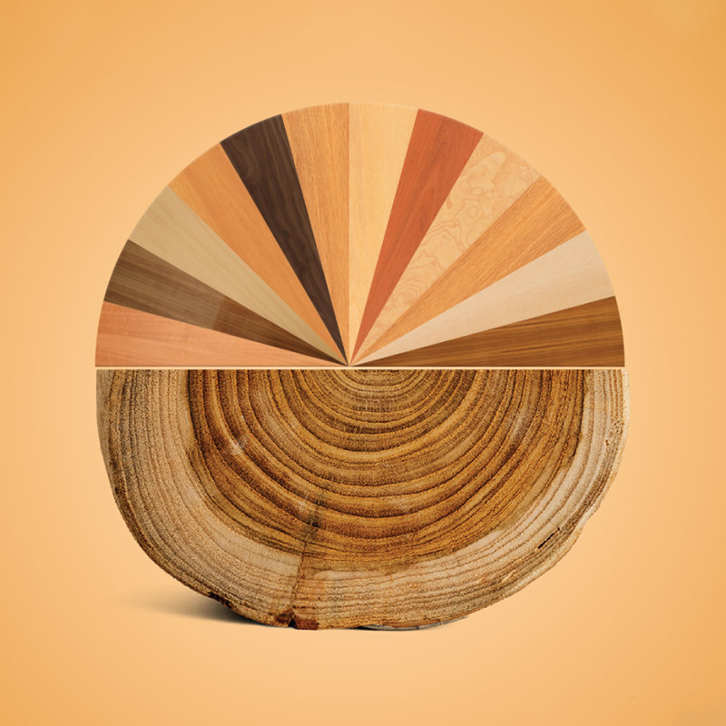 Veneer1